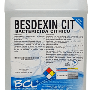 BESDEXIN CIT - TECSOM